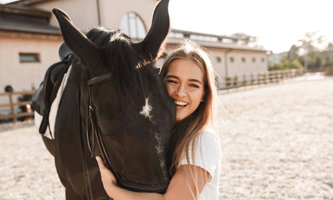 Horse Transport