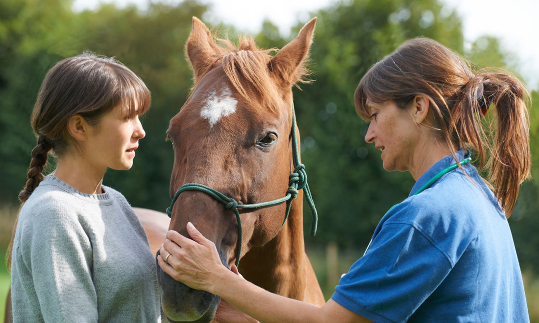 Stabling & Care